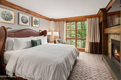 315 E Dean Street #B33-C4, Aspen, CO 81615 - Photo 10