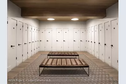 205 E Durant Avenue #1-B, Aspen, CO 81611 - Photo 14