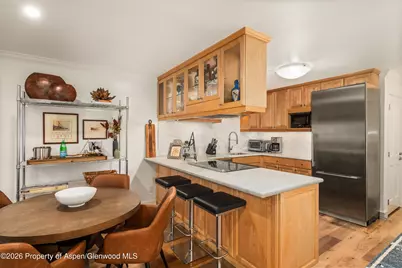 205 E Durant Avenue #1-B, Aspen, CO 81611 - Photo 4