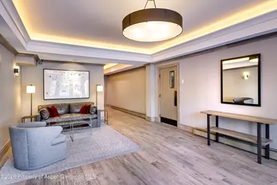 205 E Durant Avenue #1-B, Aspen, CO 81611 - Photo 12