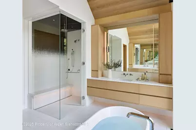 810 W Smuggler Street, Aspen, CO 81611 - Photo 28