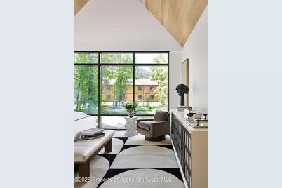 810 W Smuggler Street, Aspen, CO 81611 - Photo 22