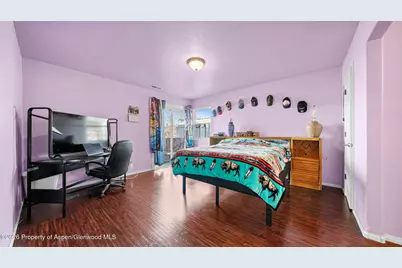 367 N Lake Court, Fruita, CO 81521 - Photo 12