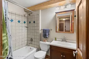 1603 Defiance Dr, Carbondale, CO 81623 - Photo 14