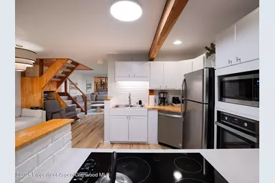 107 Aspen Mountain Road #3, Aspen, CO 81611 - Photo 16