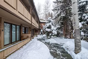 107 Aspen Mountain Rd, Aspen, CO 81611 - Photo 22