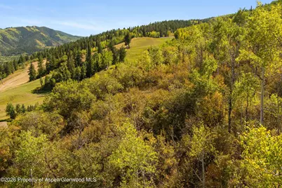 240 Buttermilk Lane, Aspen, CO 81611 - Photo 30