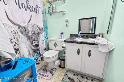 1240 Barclay Street, Craig, CO 81625 - Photo 14