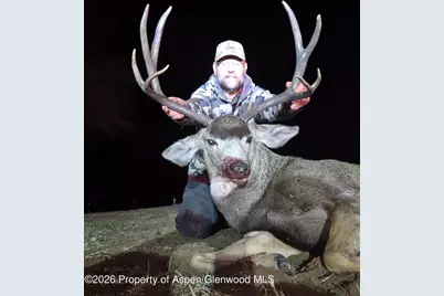 65061 Highway 64, Meeker, CO 81641 - Photo 16