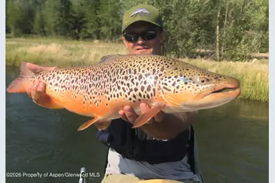 65061 Highway 64, Meeker, CO 81641 - Photo 14