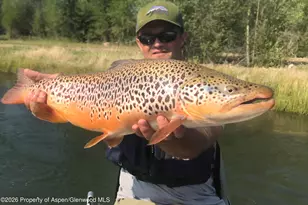 65061 Hwy 64, Meeker, CO 81641 - Photo 14