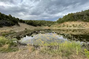 65061 Hwy 64, Meeker, CO 81641 - Photo 30