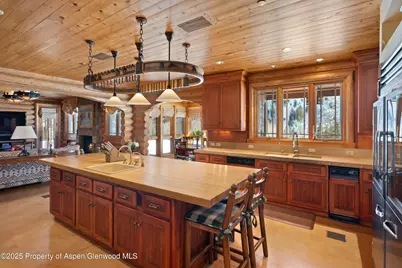 195 N Hayden Road, Aspen, CO 81611 - Photo 10