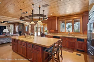 195 N Hayden Rd, Aspen, CO 81611 - Photo 10