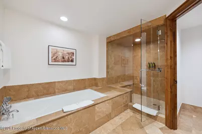 415 E Dean St., Unit 33, Week 32, Aspen, CO 81611 - Photo 16