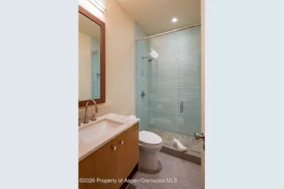 523 Walnut Street #A, Aspen, CO 81611 - Photo 22