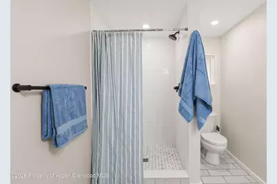 514 Echo Street, Glenwood Springs, CO 81601 - Photo 28