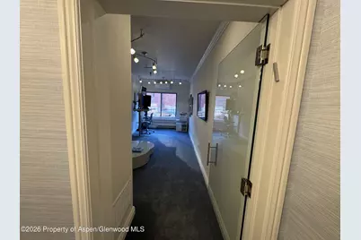 533 E Hopkins Avenue #102, Aspen, CO 81611 - Photo 4