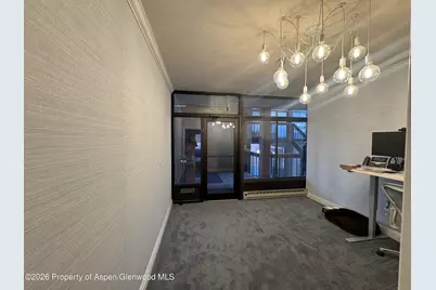 533 E Hopkins Avenue #102, Aspen, CO 81611 - Photo 8