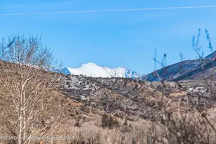 167 Picket Pin Ln, Snowmass, CO 81654 - Photo 32