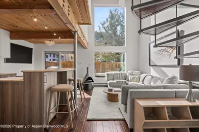 1024 E Cooper Avenue #3a, Aspen, CO 81611 - Photo 8