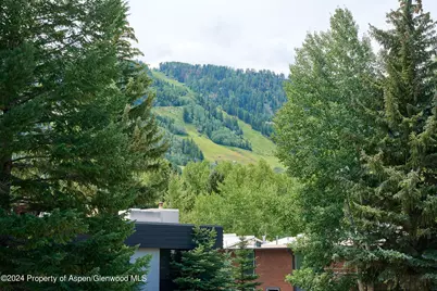 1024 E Cooper Avenue #3a, Aspen, CO 81611 - Photo 24