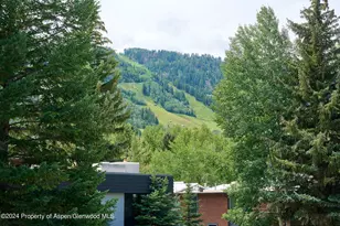 1024 E Cooper Ave, Aspen, CO 81611 - Photo 24