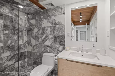 1024 E Cooper Avenue #3a, Aspen, CO 81611 - Photo 14