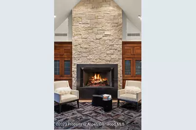 719 E Hopkins Avenue #202, Aspen, CO 81611 - Photo 8