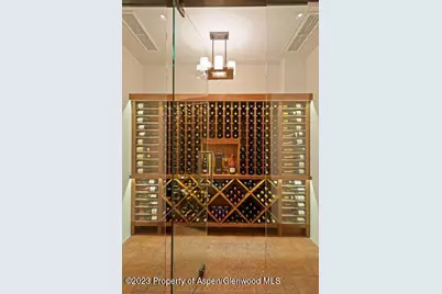 719 E Hopkins Avenue #202, Aspen, CO 81611 - Photo 36