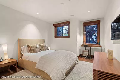 719 E Hopkins Avenue #202, Aspen, CO 81611 - Photo 26