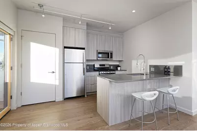 113 Valley Court, Basalt, CO 81621 - Photo 32