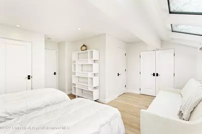 100 N 8th Street #20, Aspen, CO 81611 - Photo 12