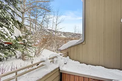 100 N 8th Street #20, Aspen, CO 81611 - Photo 18