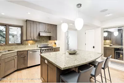 100 N 8th Street #20, Aspen, CO 81611 - Photo 6