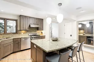 100 N 8th St, Aspen, CO 81611 - Photo 6