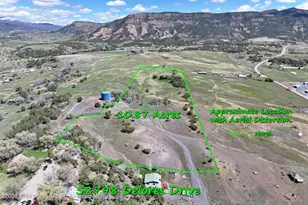 58798 Delores Dr, Collbran, CO 81624 - Photo 1