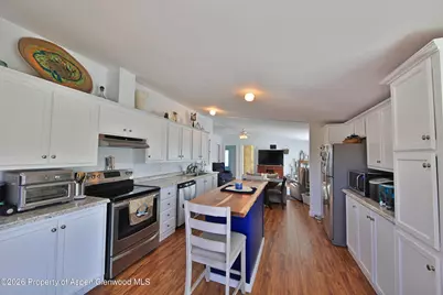 9972 52 1/2 Road, Molina, CO 81646 - Photo 10