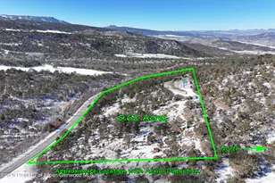 9972 52 1/2 Rd, Molina, CO 81646 - Photo 6