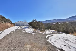 9972 52 1/2 Rd, Molina, CO 81646 - Photo 26