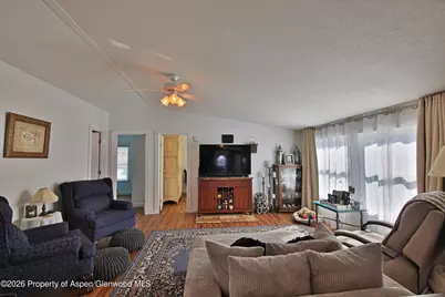 9972 52 1/2 Road, Molina, CO 81646 - Photo 12