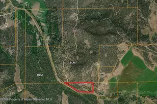 9972 52 1/2 Rd, Molina, CO 81646 - Photo 34