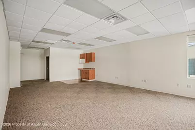 2520 S Grand Avenue #203, Glenwood Springs, CO 81601 - Photo 8