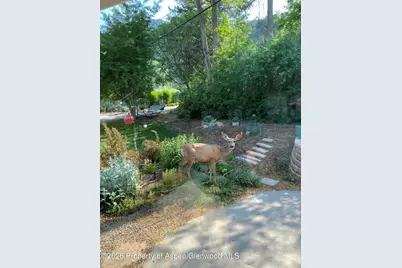 605 W 9th Place, Glenwood Springs, CO 81601 - Photo 36