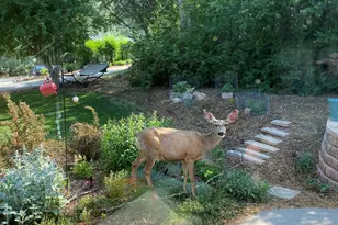 605 W 9th Pl, Glenwood Springs, CO 81601 - Photo 36