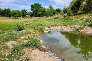 4243 Peach Valley Road Rd, Silt, CO 81652 - Photo 16