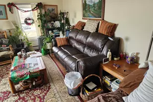 4243 Peach Valley Road Rd, Silt, CO 81652 - Photo 44