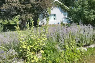 4243 Peach Valley Road Rd, Silt, CO 81652 - Photo 12