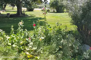 4243 Peach Valley Road Rd, Silt, CO 81652 - Photo 36