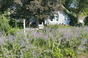 4243 Peach Valley Road Rd, Silt, CO 81652 - Photo 38